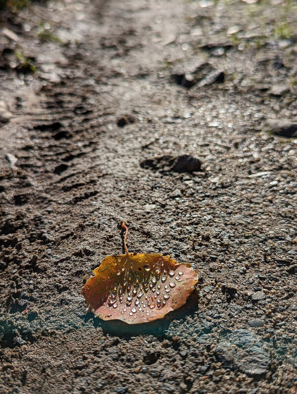 Was ist zu tun, wenn jemand gestorben ist?
