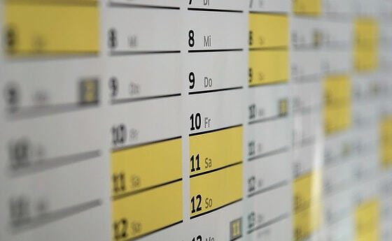 7 Tage, 6 Nächte, 26 Filme