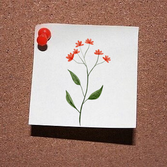 Gottesdienstordnung / © Notiz-UK71-blumen-Piyapong89/pixabay.com/Pixabay License Gottesdienstordnung