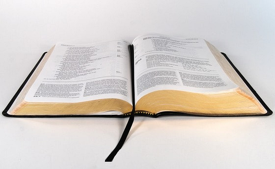 Vorschläge für Lesungen und Evangelien