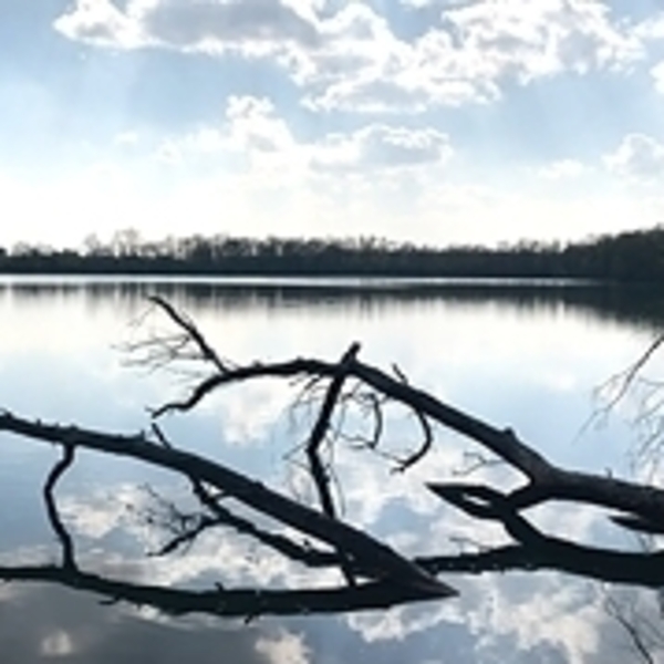 Für eine saubere Umwelt / © Franz Asen Für eine saubere Umwelt