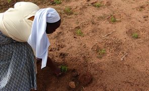 Ernährungsgerechtigkeit - ein großes Thema, nicht nur in Burkina Faso