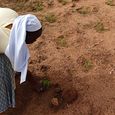 Ernährungsgerechtigkeit - ein großes Thema, nicht nur in Burkina Faso