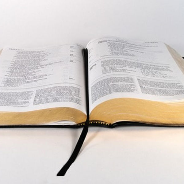 Vorschläge für Lesungen und Evangelien / Pfarrgemeinde Altmünser Vorschläge für Lesungen und Evangelien