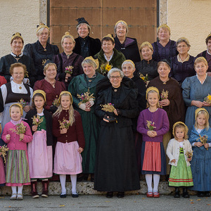 Goldhaubenfoto von 2019