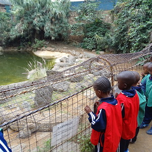Partnerpfarre Kibera
